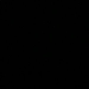 Meet your Posher, Hung